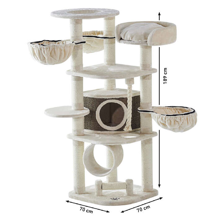 Nobby Kratzbaum Elif